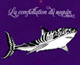 Logo La constellation du requin