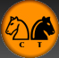Logo Chess Tempo